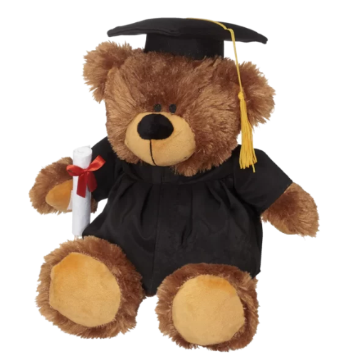 Meet our Graduation Bear 🎓